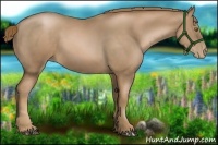 Horse Color:Liver Chestnut Pearl