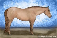 Horse Color:Bay Roan Pearl