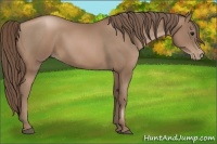 Horse Color:Black Pearl 