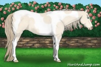 Horse Color:Perlino Tobiano