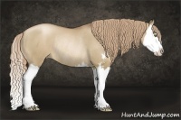 Horse Color:Liver Red Dun Pearl Sabino Splash Rabicano 