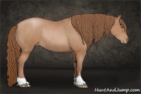 Horse Color:Brown Pearl Rabicano