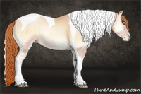 Horse Color:Sable Champagne Pearl Onyx Tobiano Rabicano 
