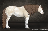 Horse Color:Grullo Ice Pearl Sabino