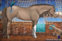 Horse Color:Black Pearl