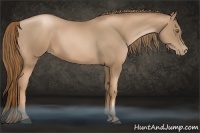 Horse Color:Liver Chestnut Pearl