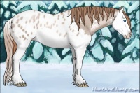 Horse Color:Smoky Black Pearl Splash Appaloosa 