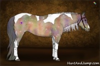 Horse Color:Nacre Buckskin Tobiano 