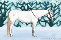 Horse Color:Nacre White Spotted Gold Champagne Dun 