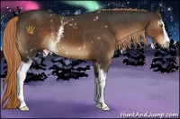 Horse Color:White Spotted Liver Chestnut Sabino