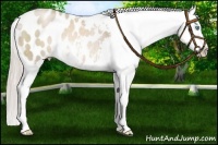 Horse Color:White Spotted Chocolate Palomino Pearl Blanket Rabicano 
