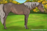 Horse Color:Silver Black 