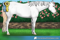 Horse Color:Classic Cream Champagne Tobiano Blanket Rabicano 
