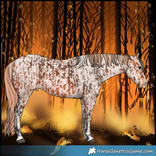 Horse Color:Bay Varnish  and Watercolor Buckskin Pearl Dun Snowflake Varnish 