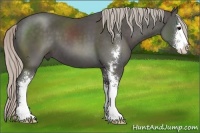 Horse Color:Silver Black Sabino 