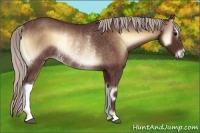 Horse Color:Chocolate Silver Brown Onyx Rabicano 