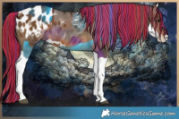 Horse Color:Painted Brown Appaloosa and Painted Brown Splash Appaloosa