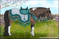 Horse Color:Buckskin Tobiano