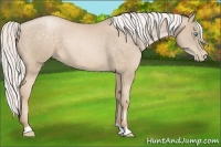 Horse Color:Silver Buckskin Pearl 