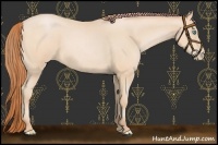 Horse Color:Buckskin Roan Pearl and Buckskin Roan Pearl Rabicano