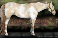 Horse Color:White Spotted Liver Red Dun Roan Pearl