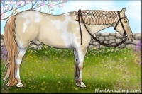 Horse Color:Liver Red Dun Pearl Tobiano