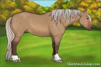 Horse Color:Silver Bay Dun