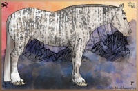 Horse Color:Black Ice Sabino Splash and Liver Red Dun Ice Sabino Appaloosa