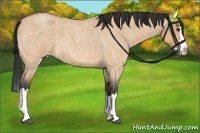 Horse Color:Bay Roan Dun Splash