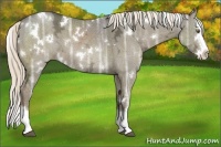Horse Color:White Spotted Liver Red Dun Ice Splash
