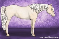 Horse Color:Silver Buckskin Roan Pearl and Silver Buckskin Roan Pearl