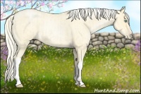 Horse Color:Palomino Roan Pearl  and Palomino Roan Pearl 