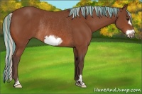 Horse Color:Painted Silver Bay Frame Rabicano 