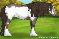Horse Color:Liver Red Roan Frame