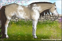 Horse Color:Liver Red Dun Sabino 