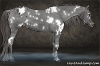 Horse Color:White Spotted Liver Chestnut Varnish