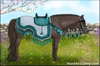 Horse Color:Liver Chestnut Appaloosa 