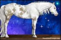 Horse Color:White Spotted Liver Red Dun Sabino 