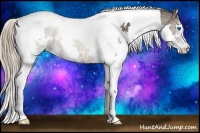 Horse Color:White Spotted Liver Chestnut Ice Splash Tobiano Rabicano