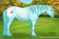 Horse Color:Thunderstruck Watercolor Black Ice Appaloosa Rabicano
