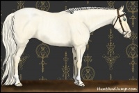 Horse Color:Palomino Roan Pearl  and Palomino Roan Pearl 