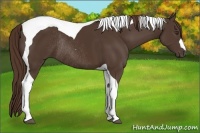 Horse Color:Liver Chestnut Tobiano Rabicano 