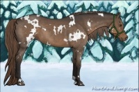 Horse Color:White Spotted Liver Red Roan Rabicano