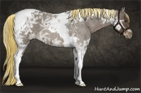 Horse Color:Painted Chocolate Palomino Ice Roan Tobiano 