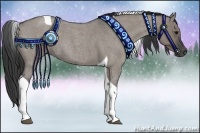 Horse Color:Grullo Roan Tobiano 