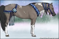 Horse Color:Grullo Tobiano Rabicano