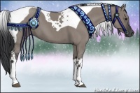 Horse Color:Grullo Roan Tobiano 