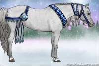 Horse Color:Blue Roan Appaloosa