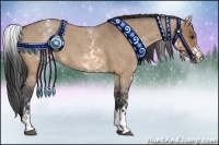 Horse Color:White Spotted Bay Roan Dun 