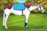 Horse Color:Chestnut Splash 